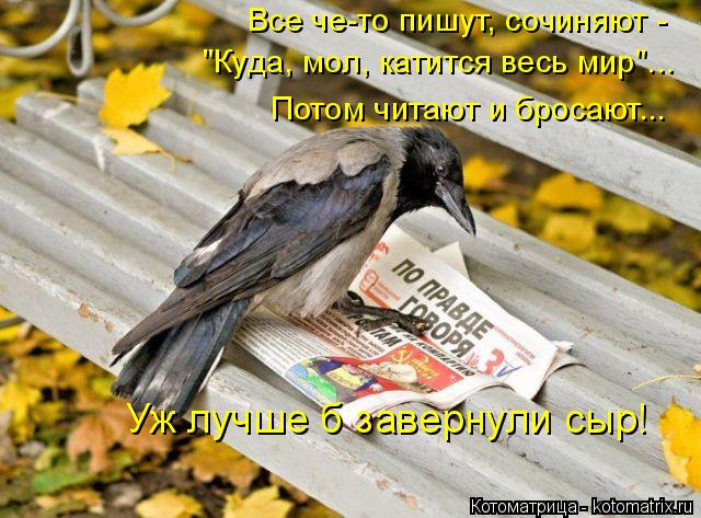 Котоматрица: Все че-то пишут, сочиняют - "Куда, мол, катится весь мир"... Потом читают и бросают... Уж лучше б завернули сыр!