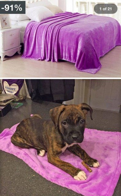 Когда ожидания не совпали с реальностью 