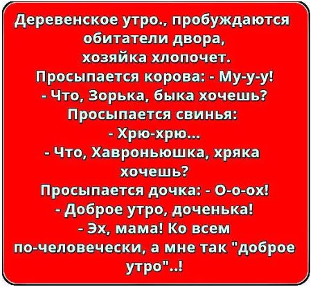 — Коля, я все решила. Нам с тобой так дальше жить нельзя... весёлые