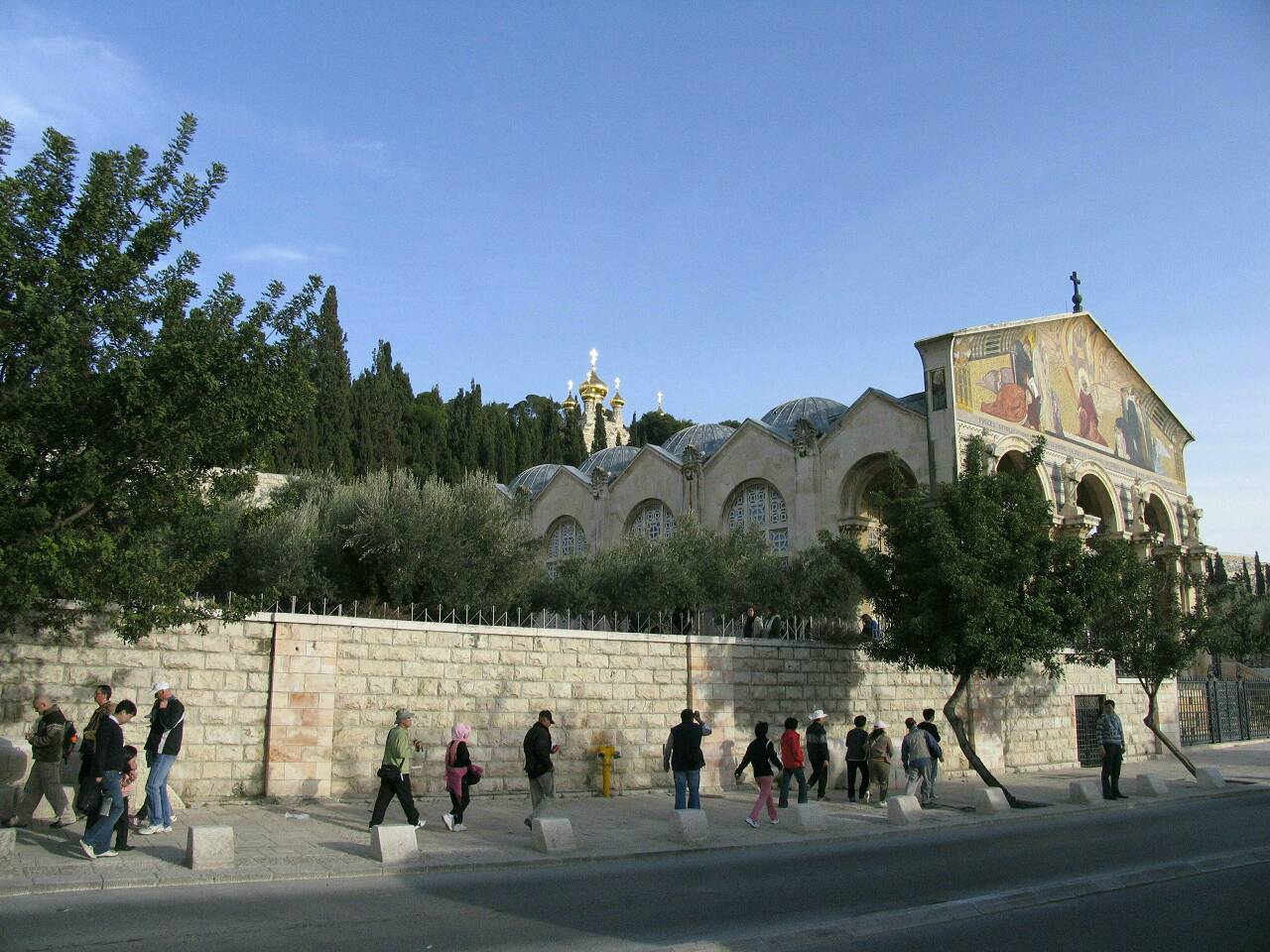 Гефсиманский сад в Иерусалиме