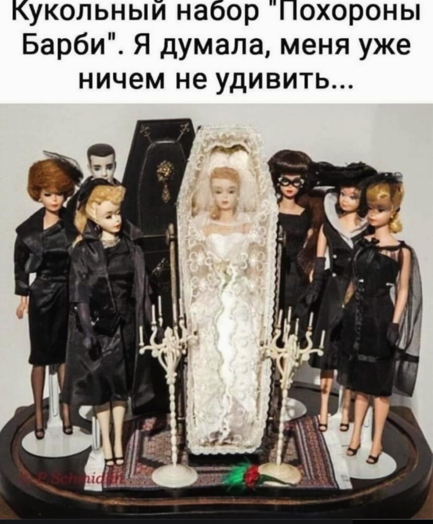 Весна, хочется влюбиться, но жена и теща против... Весна, хочется влюбиться, но жена и теща против... Скандинавские, лениным, новых, сапогах, юностью, облаках, небом, мешке, котом, майне, франкфуртом, разливе, незнайкой, палки, кухне, хозяйкой, должна, Женщина, палками, ходишь