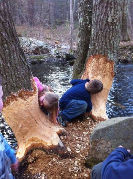 Подборка картинок. Дневной выпуск (55 фото)