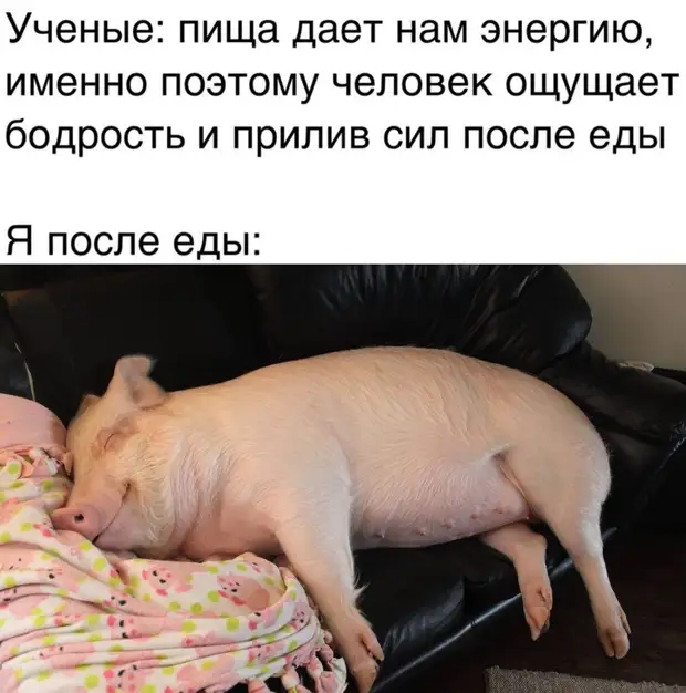 — Жила была баба Яга — добрая предобрая... Весёлые,прикольные и забавные фотки и картинки,А так же анекдоты и приятное общение