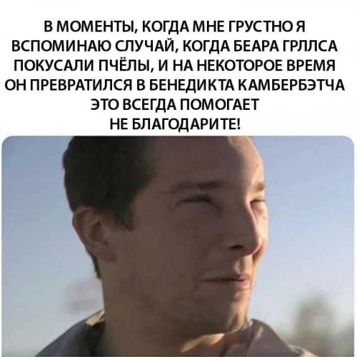 Свежие прикольные картинки Свежие прикольные картинки