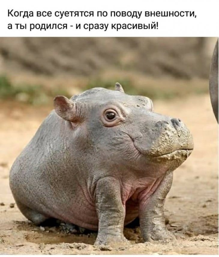 — Алло, это морг? — Нет, это баня...