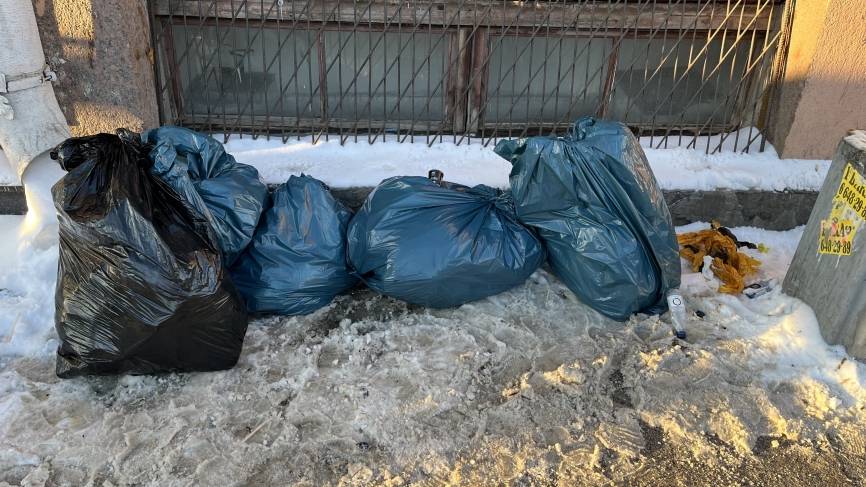 Блогер Манукян: Безобразие с мусором уродует Санкт-Петербург