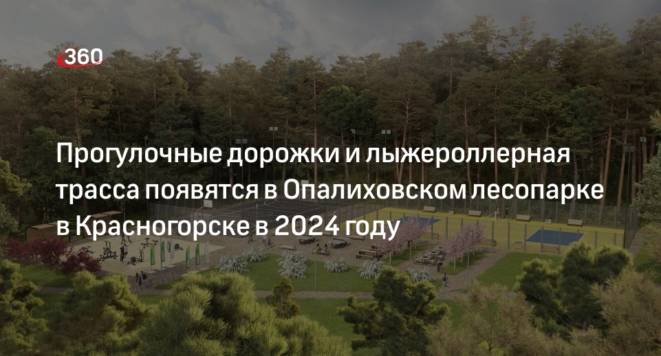 Прогулочные дорожки и лыжероллерная трасса появятся в Опалиховском лесопарке в Красногорске в 2024 году