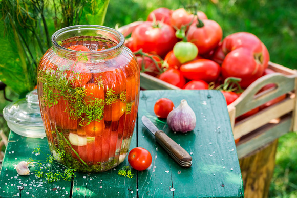 Солнце в банке: 10 рецептов засолки помидоров на любой вкус вкусные новости,заготовки,консервируем,кулинария,рецепты