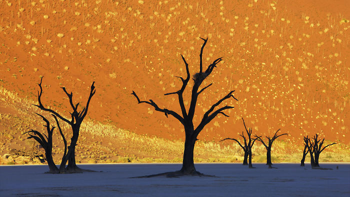 This Is Not A Painting: Namib-Naukluft National Park, Namibia