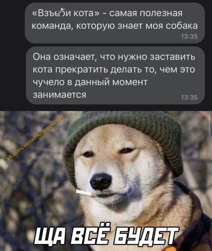 Интернет мемы в пятницу и косточка малины 