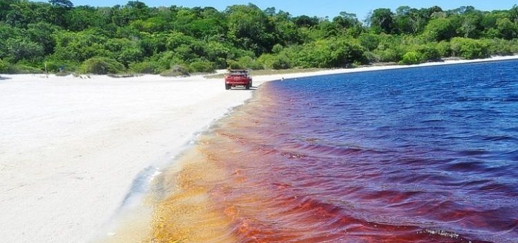 4 необычных фото озера Араракуара цвета кока-колы. На него съезжаются туристы со всего мира