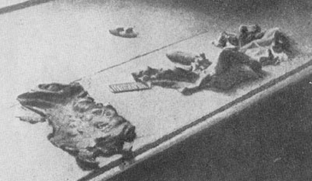 Найденная в подвале харьковской ЧК кожа, содранная с рук жертв при помощи металличего гребня и специальных щипцов. 