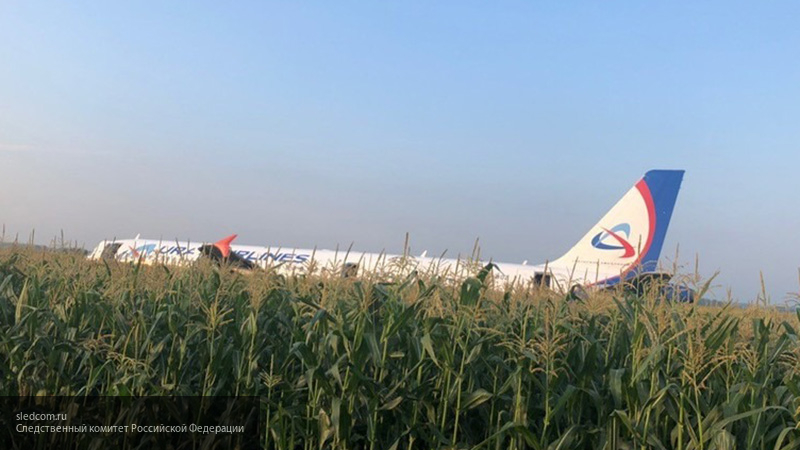 Появились первые фотографии с салона А-321 в Сети после жесткой посадки в кукурузном поле