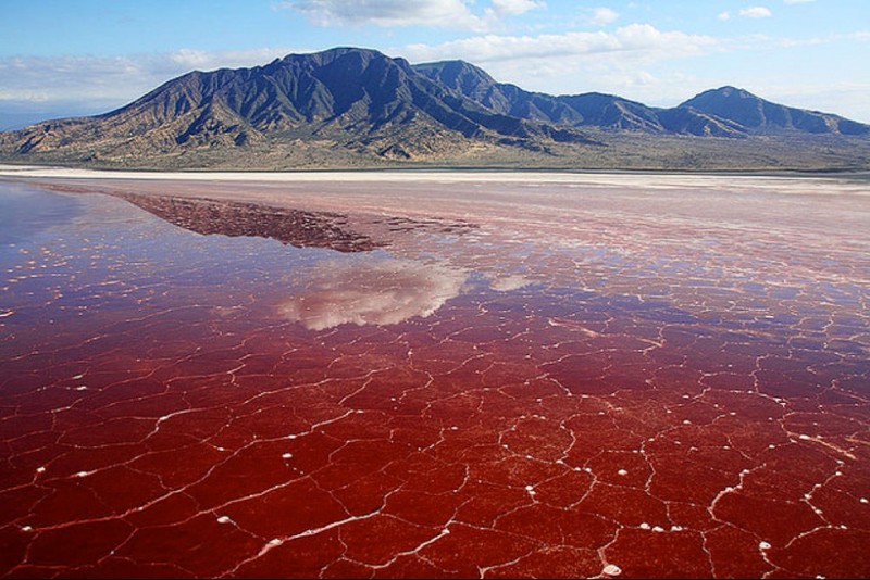 В сезон засухи покрывается коркой соли, которая периодически окрашивается в розовый или красный цвет (в результате жизнедеятельности микроорганизмов, живущих в озере) природные феномены, природные явления