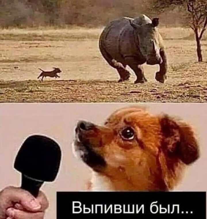 Купил умный утюг. Полдня рассуждали с ним о смысле жизни Купил умный утюг. Полдня рассуждали с ним о смысле жизни Купил, история , будем, сервисов, российских, других, многих, белого, Красного, Правда, меня , успокоительный, прям , напоследок , делать, бесит, сбора, этого, запах, пачку