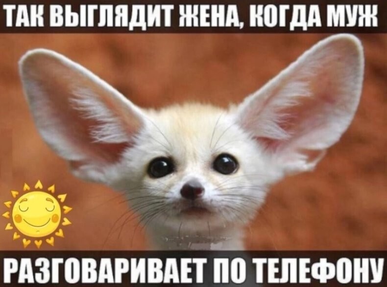 В мужском представлении, счастливая и крепкая семья - это когда жена жалуется мужу на мать, а не матери на мужа... 