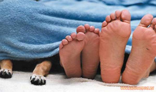 Давайте улыбаться вместе! :) №170912