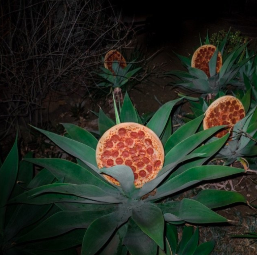 А вы когда-нибудь видели, как растет пицца? смешно, фото, шутки