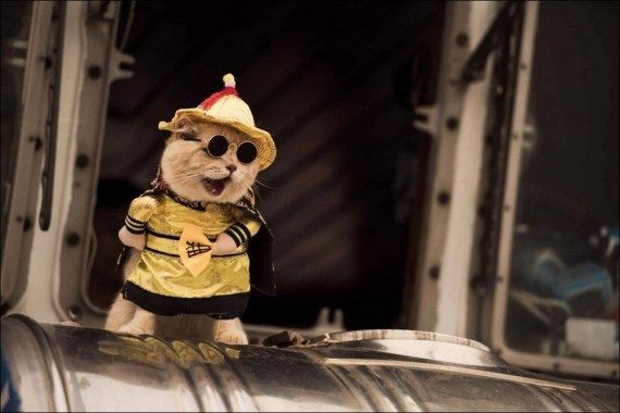 Забавная подборка дня Забавная подборка дня