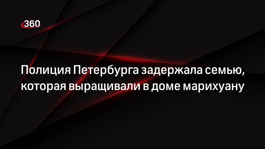 Полиция Петербурга задержала семью, которая выращивали в доме марихуану