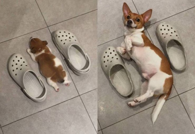 Шикарные фотографии и позитивные картинки из сети Шикарные фотографии и позитивные картинки из сети