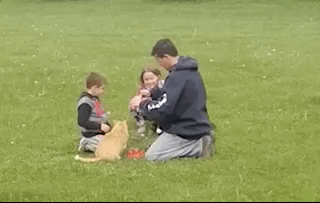 Интригующее продолжение 