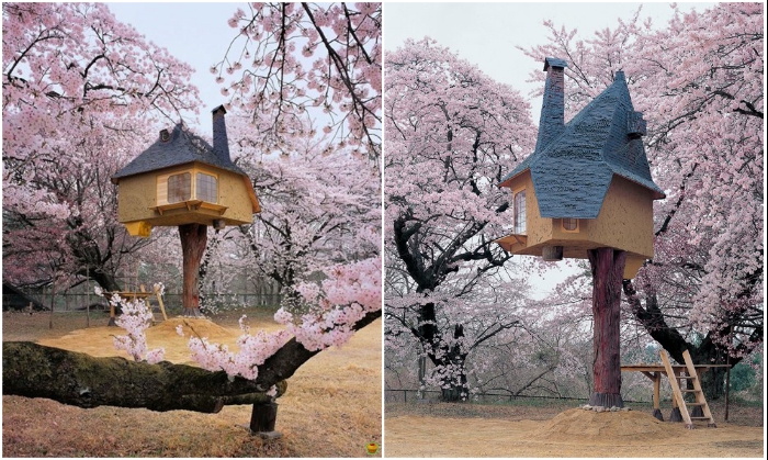 Сказочно красивый чайный домик на дереве «Tetsu» на острове Хокуто (Япония). | Фото: funtema.ru/ cacadoresdelendas.com.br.