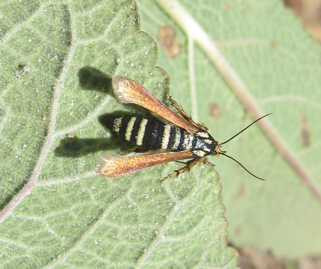 Значение открытия