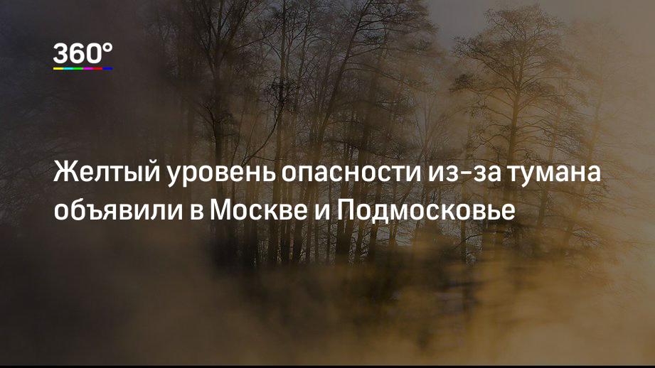 Желтый уровень опасности из-за тумана объявили в Москве и Подмосковье