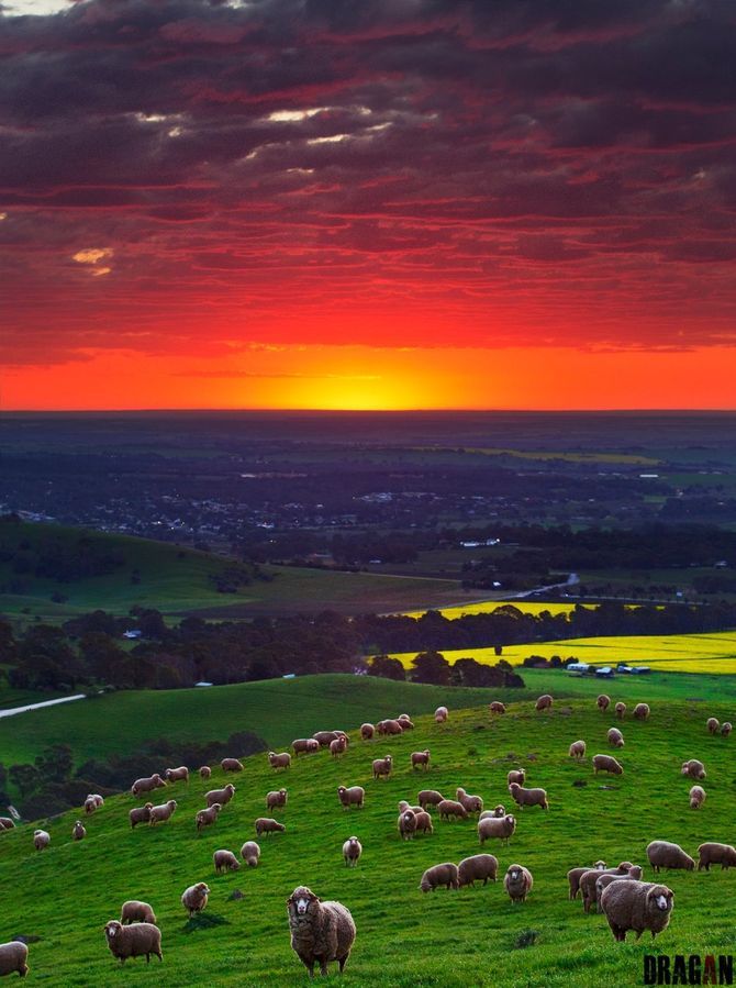 Когда очень хочется в Австралию Австралия