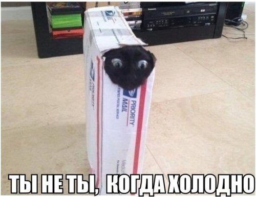 Классные фотоприколы! Классные фотоприколы! смешные картинки