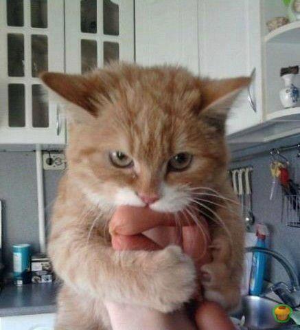 Рано или поздно дети последуют вашему примеру, а не вашим советам Рано или поздно дети последуют вашему примеру, а не вашим советам демотиваторы,приколы,Хохмы-байки,юмор