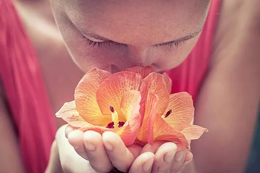 Учёные выяснили, какие запахи люди считают самыми приятными и противными