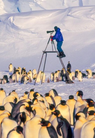 35 лучших фото от National Geographic за всю историю бренда Природа