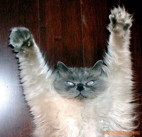 Забавные фотки(21фото)