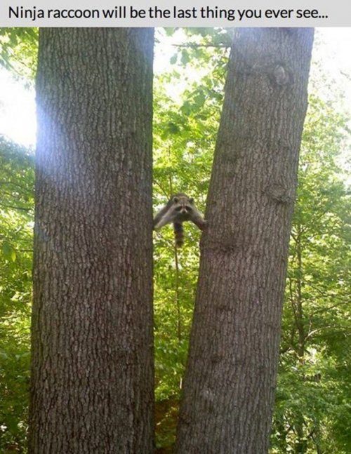 Классные фотоприколы! Классные фотоприколы! смешные картинки