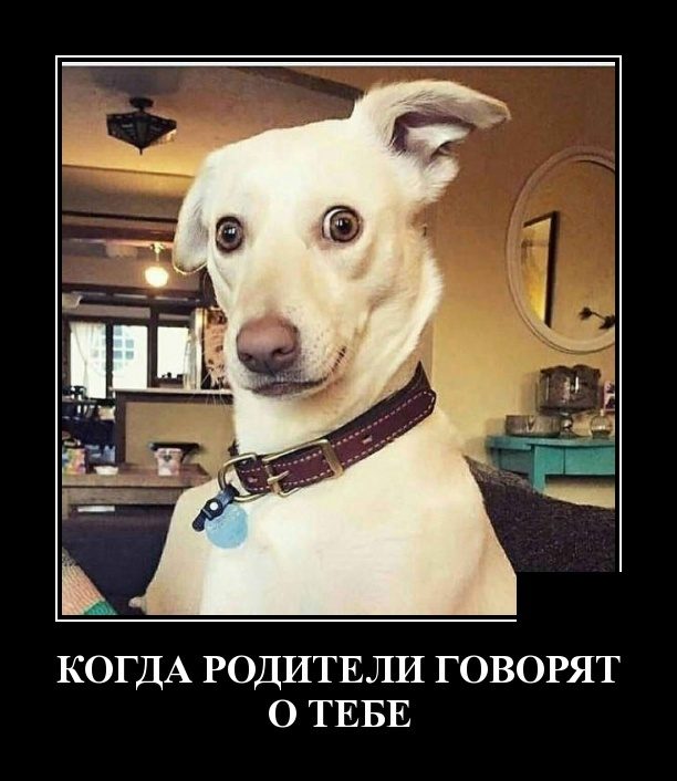 Демотиваторы. Убойные картинки! Демотиваторы. Убойные картинки! демотиваторы