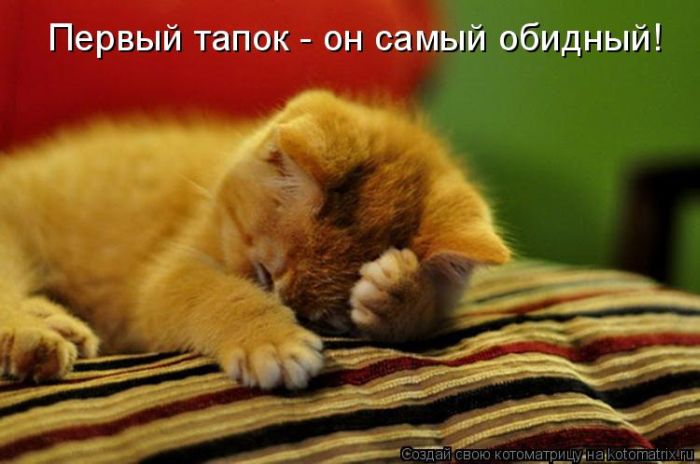 Мысли вслух :)