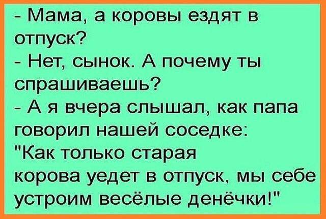 25 классных анекдотов и шуток. Заряд позитива на весь день 25 классных анекдотов и шуток. Заряд позитива на весь день