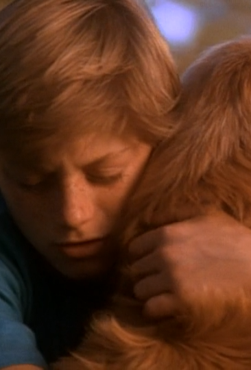 Peter hugging Shadow goodbye in Homeward Bound.