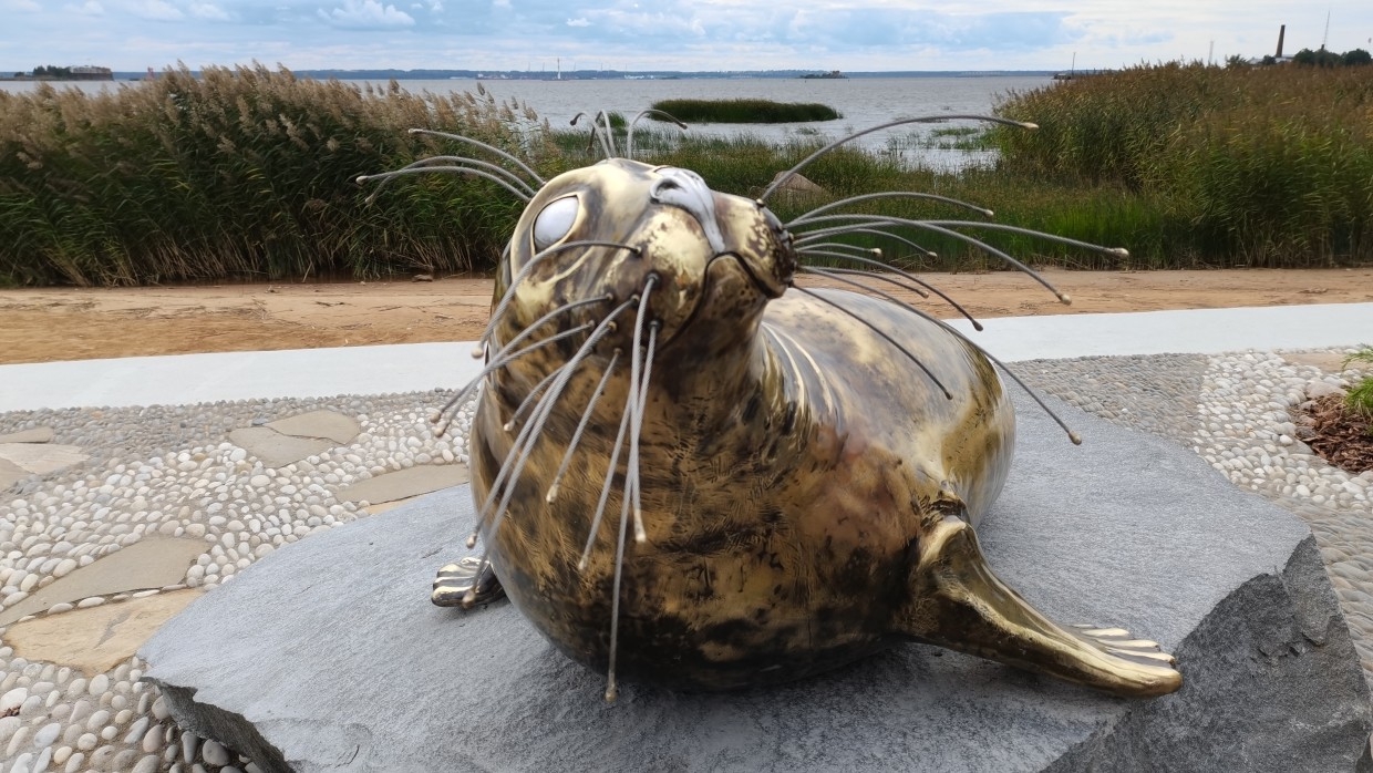 Памятник тюленю торжественно открыли в Кронштадте на День ВМФ Общество