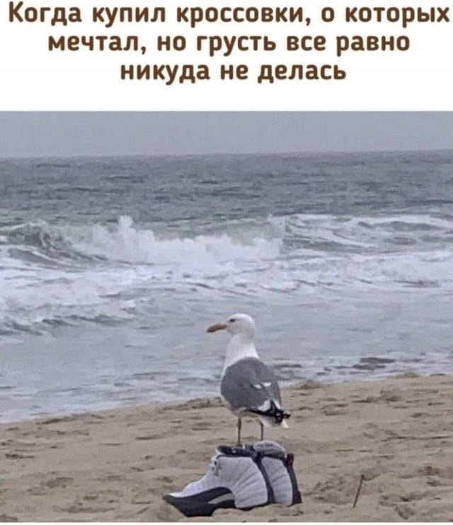 Юмор в картинках и без