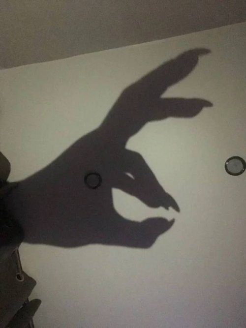 Жесть прикольная 