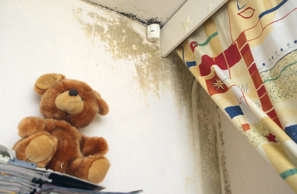 HALLITUS PAASIKU TÄNAVA KORRUSMAJAS