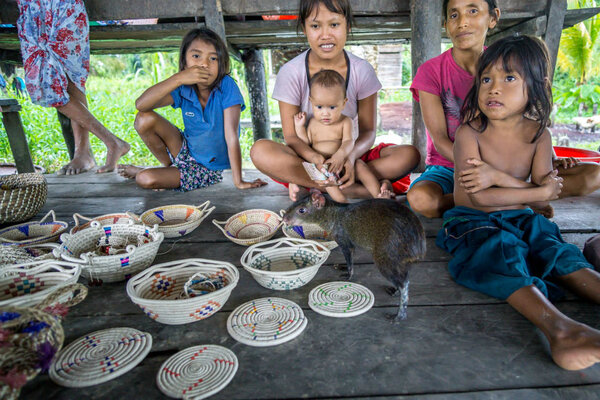 Варао: считают до пяти, плавают с пираньями и не желают ходить в школу Варао: считают до пяти, плавают с пираньями и не желают ходить в школу