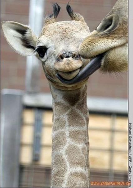 Давайте улыбаться вместе! :) №170912