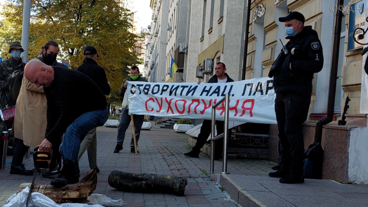 Лес рубят — щепки летят: в центре Киева рубили дрова ради спасения «лысеющих» Карпат