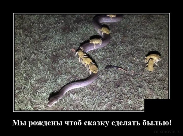 Классные, веселые и забавные демотиваторы из сети демотиваторы свежие,смешные демотиваторы,юмор