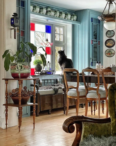 Весенние уютности в старинном норвежском доме с тремя очаровательными котами 