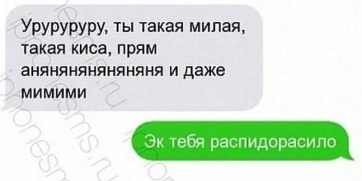 Знаете ли вы, что причиной любого развода является брак? анекдоты,демотиваторы,приколы,юмор